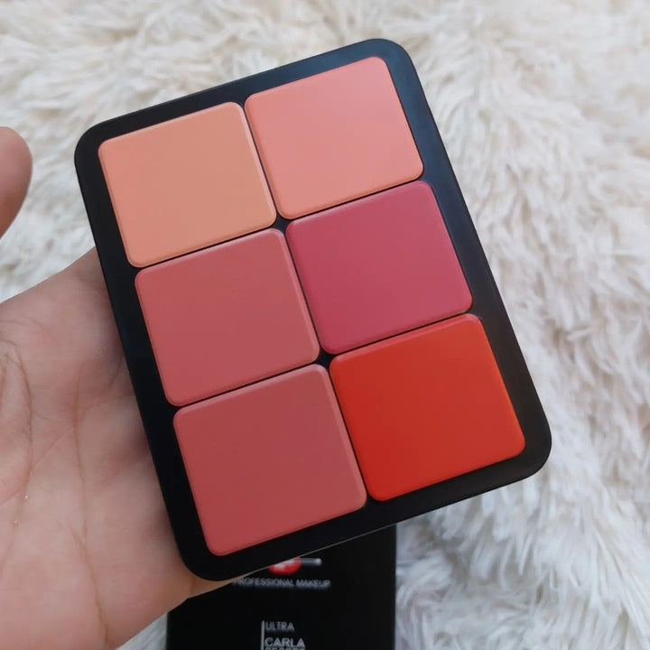 2 IN 1 CARLA SECRET CREAM BLUSH AND CONCEALER PALETTE
